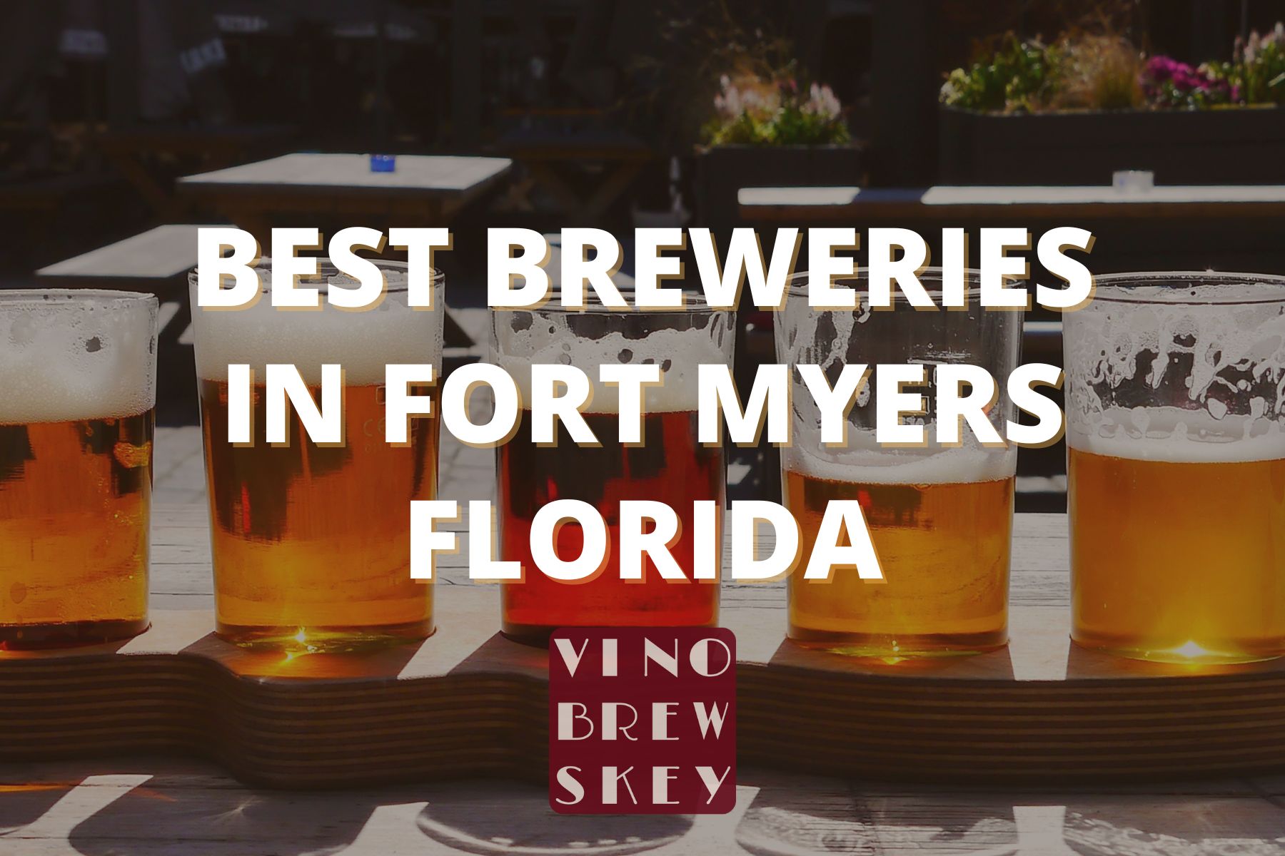 Best Fort Myers Breweries - Vino Brewskey