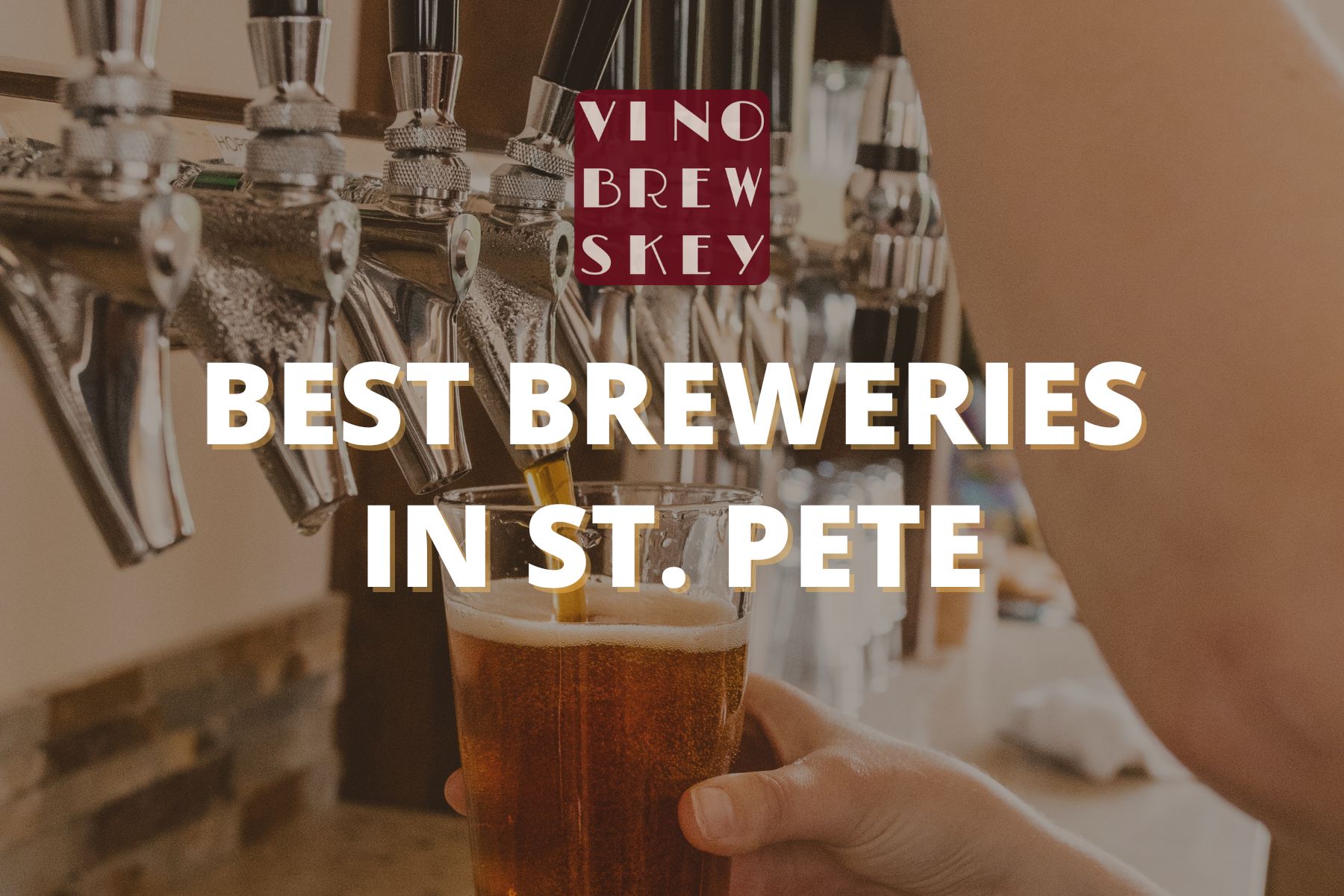 Best St. Pete, FL Breweries - VinoBrewskey