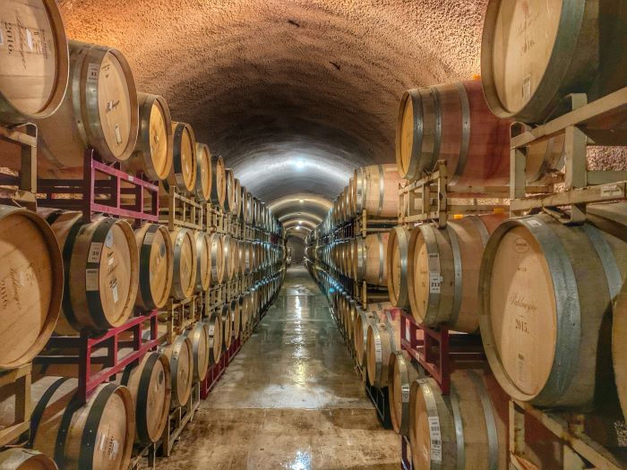 Cellar full of wine barrels