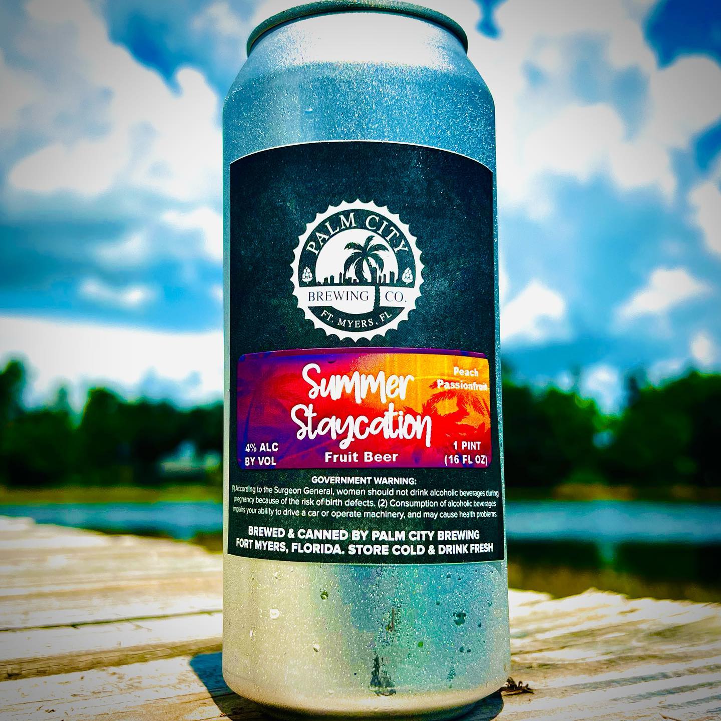 Palm City Brewing - Summer Staycation Fruit Beer